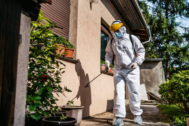 Best Termite Control Services  in Aliso Viejo, CA
