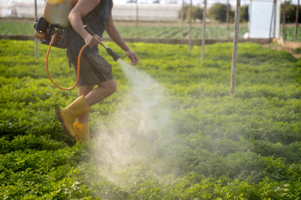 Best Pest Control Near Me  in Aliso Viejo, CA