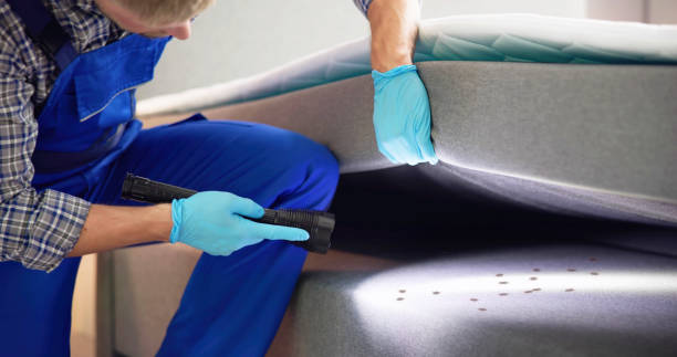 Best Best Pest Control Companies  in Aliso Viejo, CA