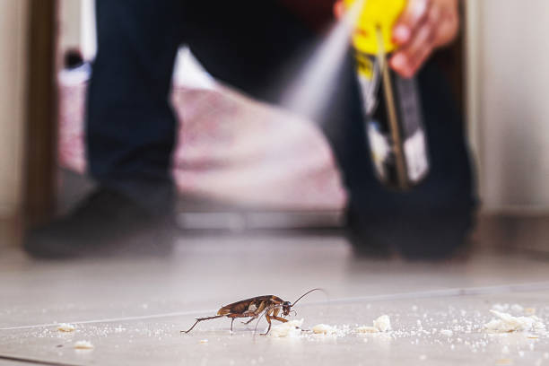 Best Bed Bug Extermination  in Aliso Viejo, CA