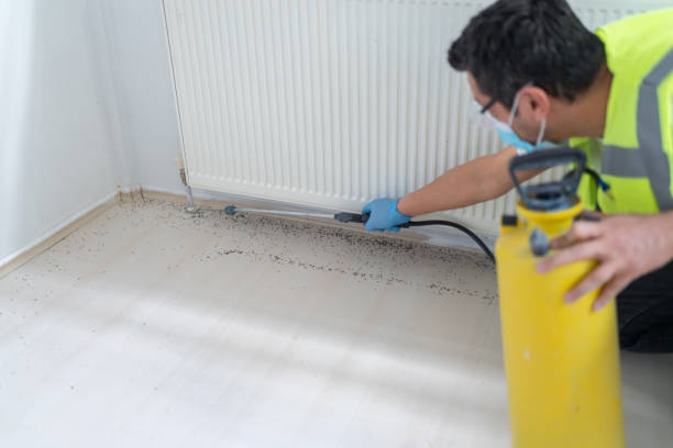 Best Pest Control for Homes  in Aliso Viejo, CA