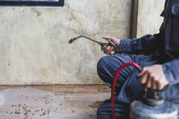 Reliable Aliso Viejo, CA Pest Control Solutions