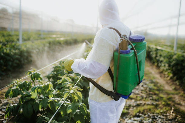 Best Pest Removal Services  in Aliso Viejo, CA